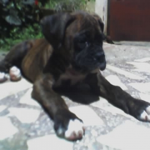 Sunbathing