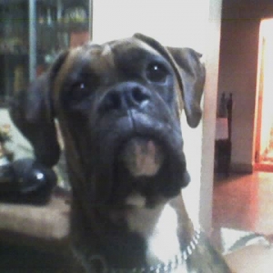 food?