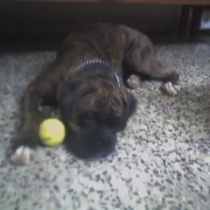 Tired