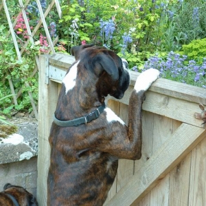 What You Doing?