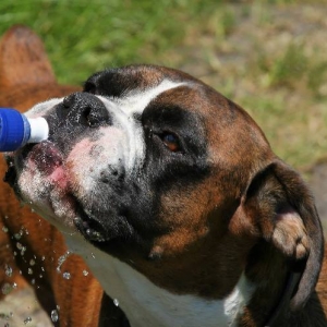 Water break