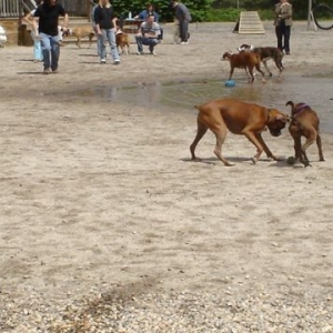 Sharing the ball