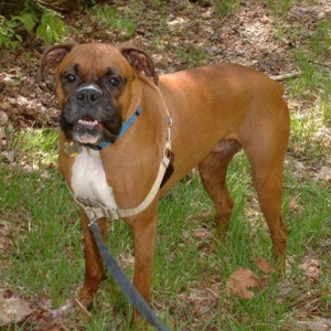 Samson Hiking