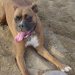 sand