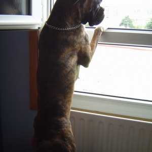 who is there?