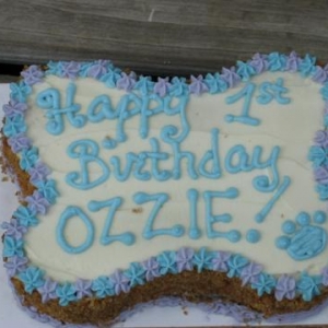 Ozzies first B-Day Cake