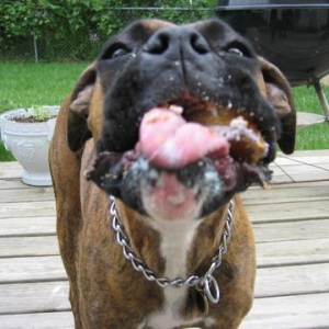 Mouthful of Cake and tounge!