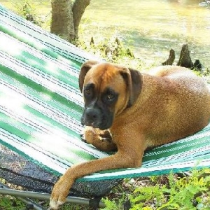 Ahhh, this is the life....