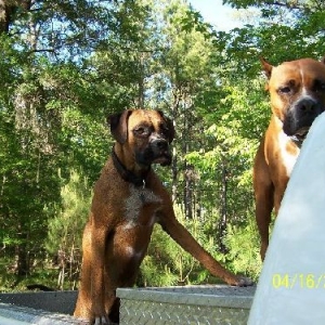 Cain and Breezie