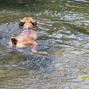 I'm swimming