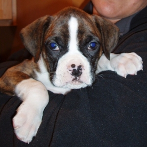 Meet Quinn