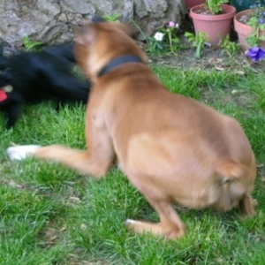 Playtime!