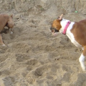 in the sand