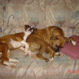 couch surfers
