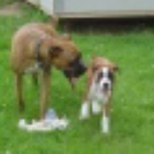 max n lucy