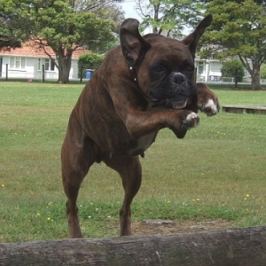 Jump!