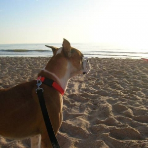 AJ seeing the ocean for the first time