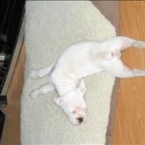lilsleep