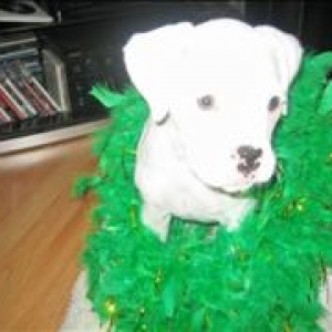 lilnstpats