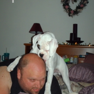 Sampson playing with Daddy