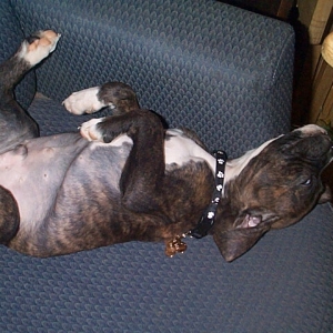 Being Lazy in MY CHAIR!!!