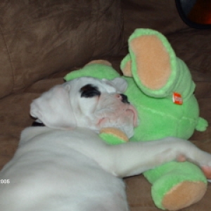 Baby Sampson and friend!