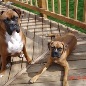 Kaine & Zoey