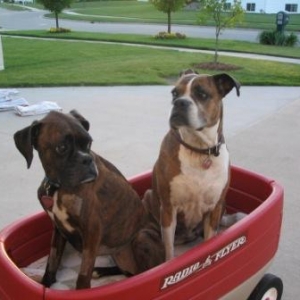 Wagon Ride