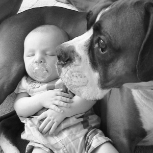 The two boys in the house