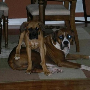 New Sister - Sasha