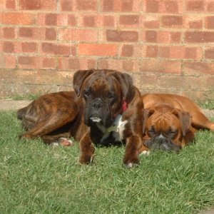 All that garden and they have to snuggle up together