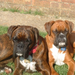 Lola 14 months & Zeb 5 months