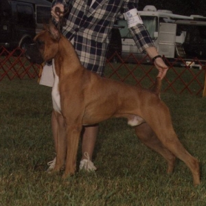 ryder9