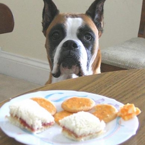 Lunchtime