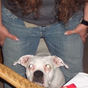 Evil Eyes
