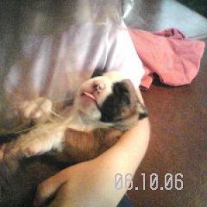 Brady
