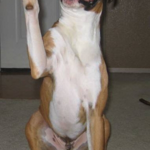 High Five!