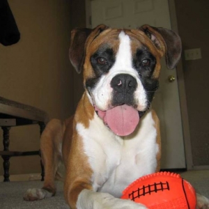 wtyson2