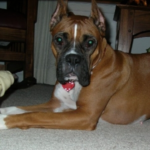 My Sweet Baby