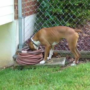 What's in here?