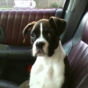 Going for a Ride!