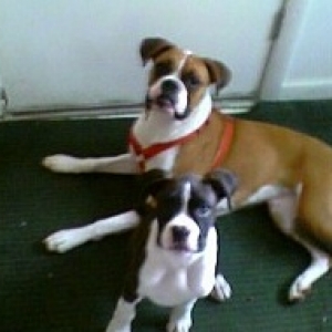 Best Buddies!