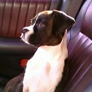 My Handsome Boy!