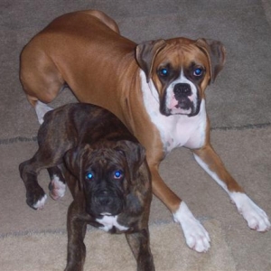 Syd & Samantha