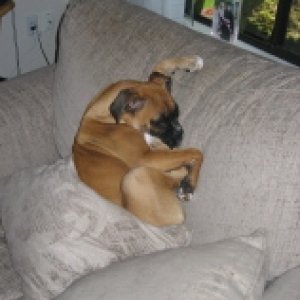Sleeping