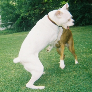 Time to play!