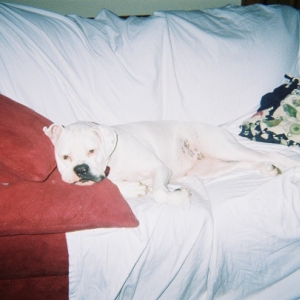 Lounge princess
