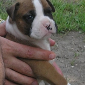 Brady at 19 days