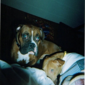 bradie & jewels nap time