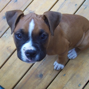 Our_Girl_Riley